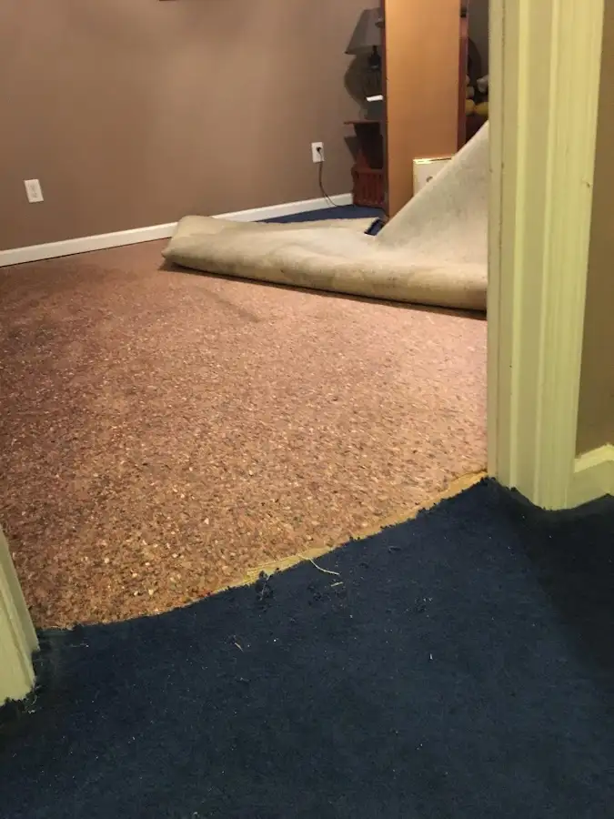 Carpet pad removal revealing water damage during Water Mitigation Services in Whitpain
