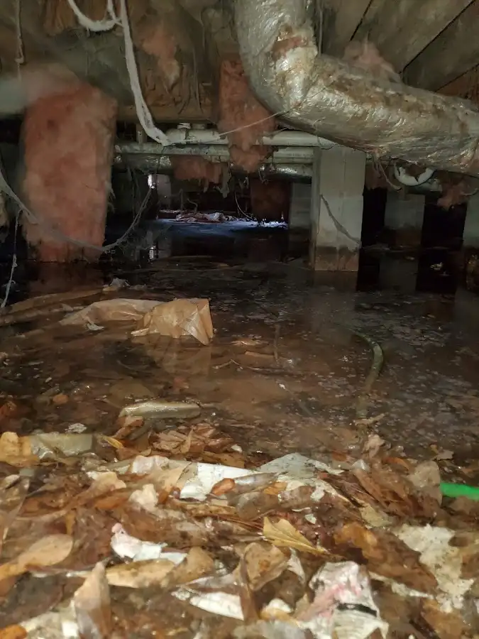 Crawl space flood assessment for Commercial Water Damage Restoration in Whitpain