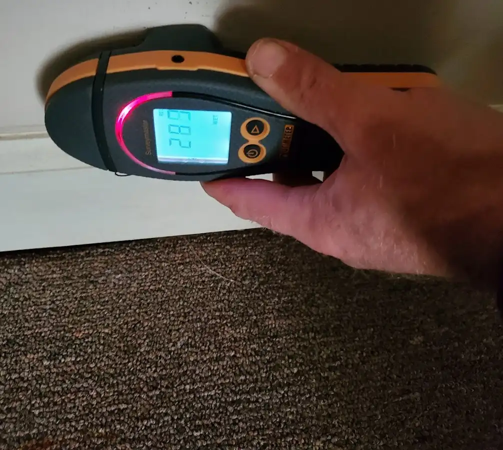 Moisture detection at baseboard during Mold Inspection & Testing in Whitpain